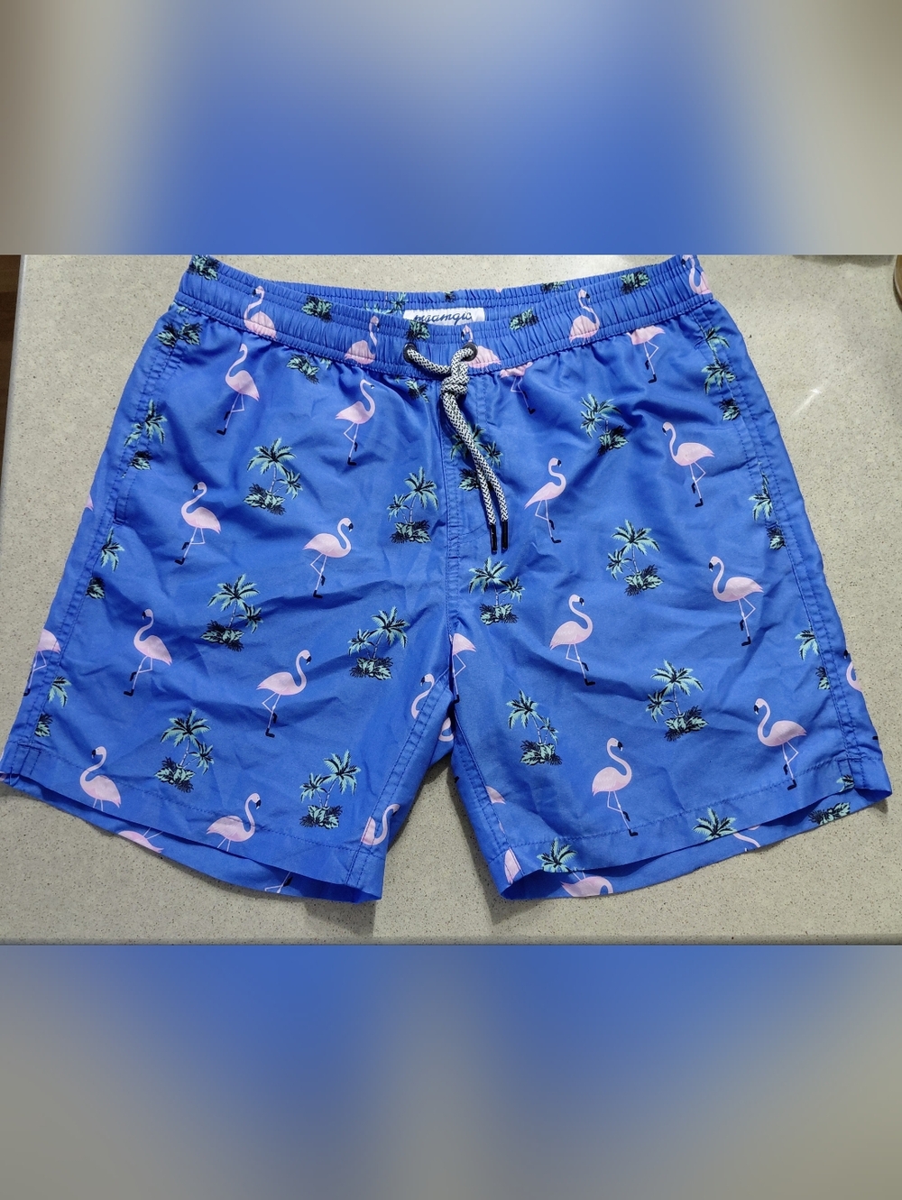 Flamingo Print Swim Trunks - Blue & Pink